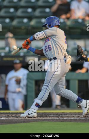 bradenton marauders at st lucie mets july 4