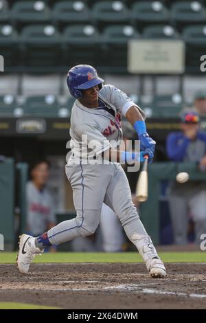 bradenton marauders at st lucie mets july 4