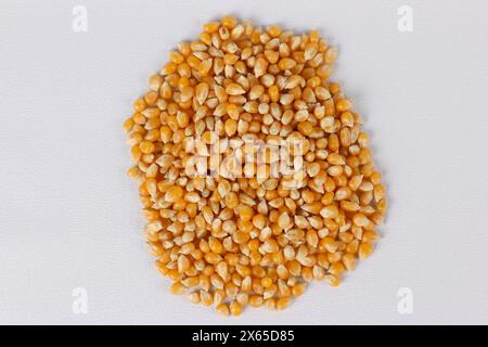 Dried corn or maize kernels on white background Stock Photo