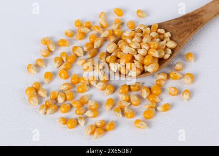 Dried corn or maize kernels on white background with spoon. Stock Photo