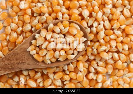 Dried corn or maize kernels on white background with spoon. Stock Photo