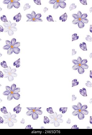 Watercolor postcard, frame, template with violet blooming crocus flower isolated on background. Spring and easter botanical hand painted saffron illus Stock Photo