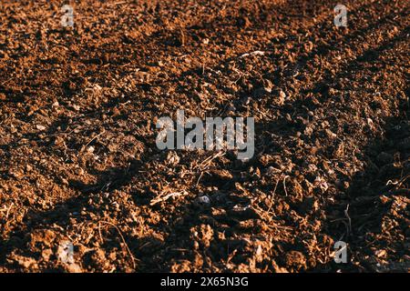 Ridge and furrow pattern in ploughed soil of an agricultural field, selective focus Stock Photo