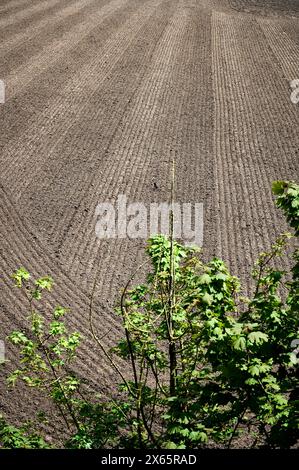 Ploughed field in springtime Stock Photo