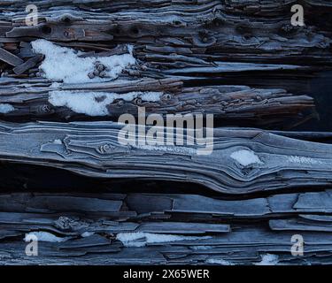 Ice crystals form on log on a chilly Washington morning. Stock Photo