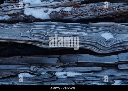 Ice crystals form on log on a chilly Washington morning. Stock Photo