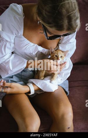 Young woman plays with a kitten. Stock Photo