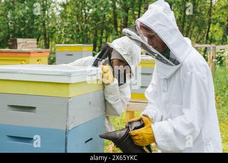 beekeepers in the garden in sunny weather takes care of the hives Stock Photo