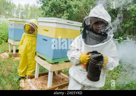 beekeepers in the garden in sunny weather takes care of the hives Stock Photo