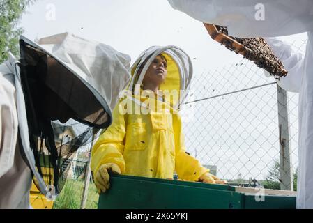 beekeepers in the garden takes care of the hives Stock Photo