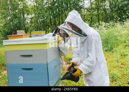 beekeepers in the garden in sunny weather takes care of the hives Stock Photo