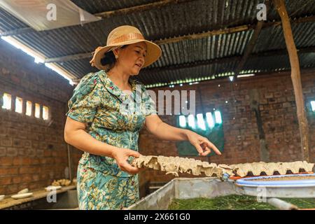 Vietnam, Central, Dalat province, woman in a cricket farm Stock Photo
