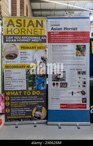 Posters with information about the Asian hornet (Vespa velutina) at a garden show, UK Stock Photo