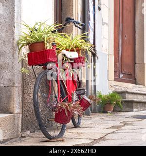 rotes Fahrrad mit Pflanzen Stock Photo