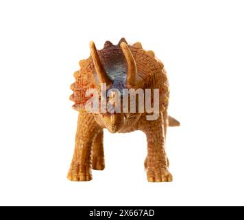 Detailed triceratops figurine isolated on a white background with visible textures Stock Photo