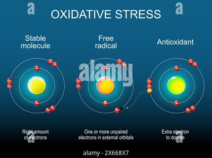 Free radical, Stable molecule and Antioxidant. Atom structure. Antioxidant donates electron to Free radical. Oxidative stress. Isometric Flat vector i Stock Vector
