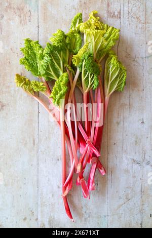 Forced rhubarb on a light wooden surface Stock Photo