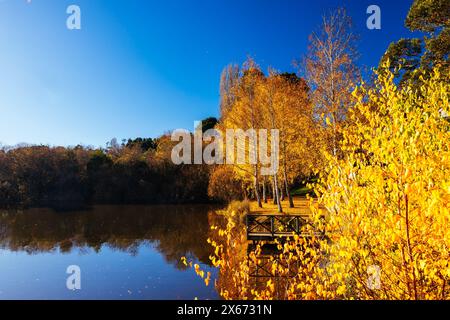 DAYLESFORD, AUSTRALIA - MAY 12 2024: Landscape around Lake Daylesford in a cool late autumn afternoon in Daylesford, Victoria, Australia Stock Photo