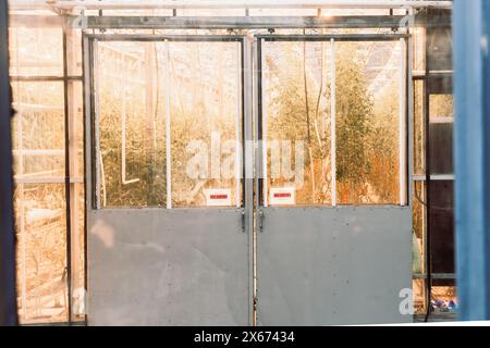 South Iceland-2nd march, 2023: Tomato greenhouse building from outside.Fridheimar - visitors friendly tomato farm.Famous travel destination on golden Stock Photo