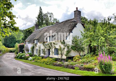 Thatched Cottage in Dunster, Somerset Stock Photo