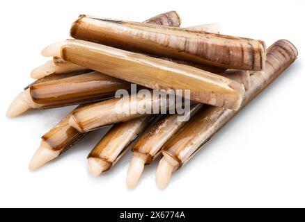 Edible raw razor clams isolated on white background. Delicacy food. Stock Photo