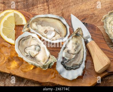 Three opened raw oysters and oyster knife on wooden table. Top view. Stock Photo