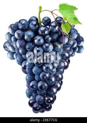 Cluster of dark blue grape with grape leaves on white background. File contains clipping path. Stock Photo