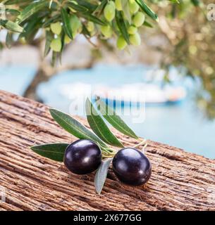 Two fresh olives on twig over wooden table. Olive tree and blue sea at the background. Stock Photo