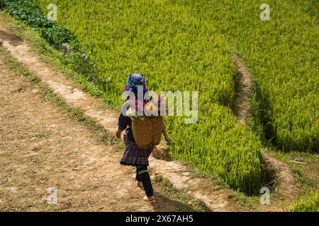 Flower Hmong women in the rice terraces of Mu Cang Chai, Yen Bai, Vietnam Stock Photo