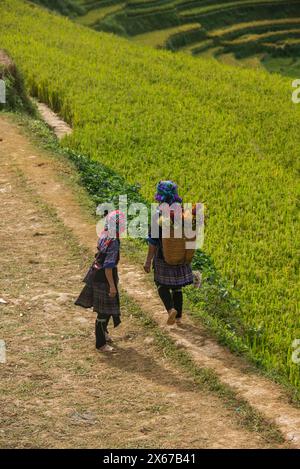 Flower Hmong women in the rice terraces of Mu Cang Chai, Yen Bai, Vietnam Stock Photo