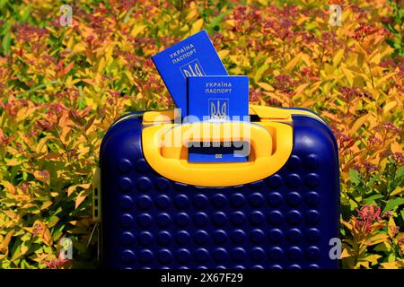 2 passports Ukraine citizens with inscription in Ukrainian - Passport of Ukraine lie on yellow blue suitcase in color of Ukrainian flag. Travel, refug Stock Photo