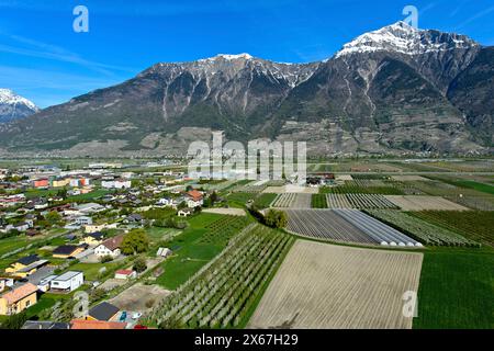 Fields and plantations for growing fruit and vegetables under the snow-covered summit of Grand Chavalard in the Rhone Valley, Charrat, Valais, Switzerland Stock Photo