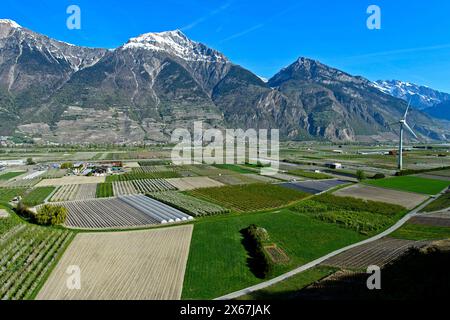 Fields and plantations for growing fruit and vegetables under the snow-covered summit of Grand Chavalard in the Rhone Valley, Charrat, Valais, Switzerland Stock Photo