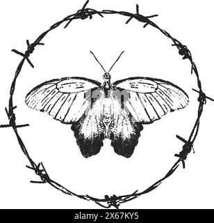 Butterfly and barbed wire frame vector illustration Stock Vector