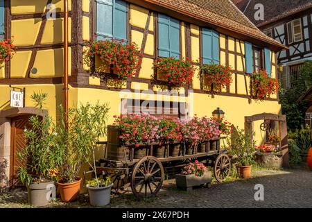 Half-timbered house with floral decorations and cart with wine barrels in Eguisheim, Alsace, France Stock Photo