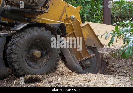Rootstock cutter for tree stump removal, Tutzing, Bavaria, Germany Stock Photo