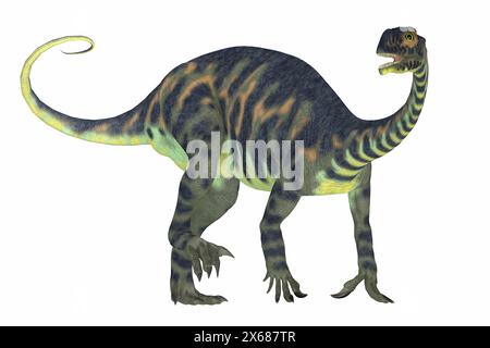 Massospondylus was a prosauropod dinosaur from the Jurassic Age of Africa and was a herbivore. Stock Photo