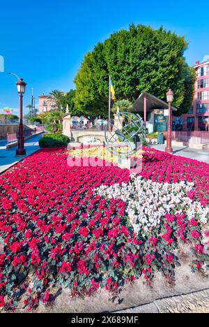 Plaza de la Glorieta, flower decorations, house facades, old town, architecture, city tour, Murcia, autonomous region of Murcia, Spain, Stock Photo