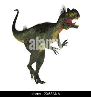 Megalosaurus was a large carnivorous theropod dinosaur that lived in the Jurassic Period of Europe. Stock Photo