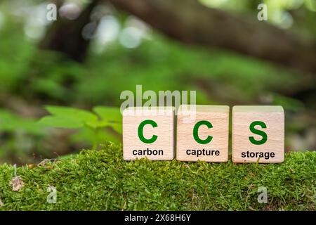 Symbol CCS  for Carbon Capture Storage words CCS on a wood cube on the environmental background. Net zero action concept. green energy, reduce carbon Stock Photo
