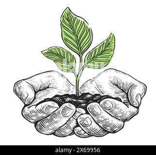 Growing young green plant with leaves with ground in hands. Human palms holding sprout. Clipart sketch drawing Stock Vector
