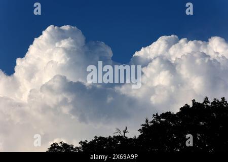 Gewittersaison 2024 Mächtige Wolkengebirge aus der Gattung der vertikalen Wolken zeigen sich im Frühling am Himmel und bringen vereinzelt Regen mit teils eingelagerten Gewittern. *** Thunderstorm season 2024 Mighty mountains of clouds from the genus of vertical clouds appear in the sky in spring and bring scattered rain with some embedded thunderstorms Stock Photo