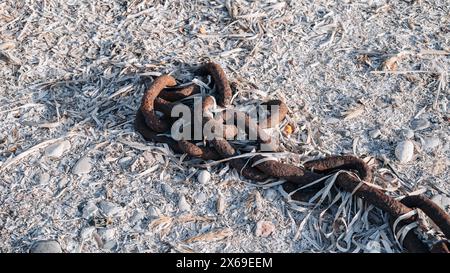Big rusty skimpy chain on the rocks. Stock Photo