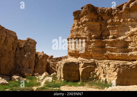 Grand Fall Mides Oasis in Tamgahza Stock Photo