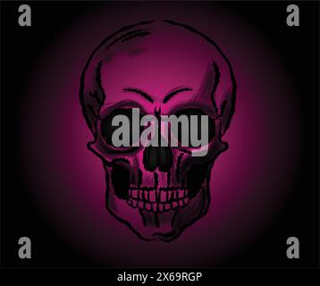 Human skull vector Stock Vector Image & Art - Alamy