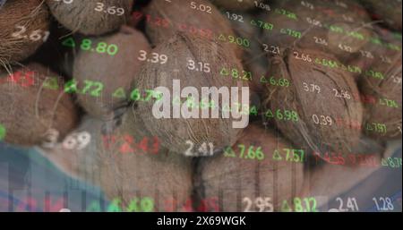Image of changing numbers and multiple graphs over coconuts for sale at market Stock Photo
