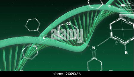 Image of chemical structures over dna strand spinning on green background Stock Photo