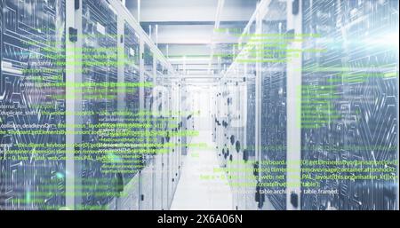 Image of programming languages and illuminated abstract lines moving on data server systems Stock Photo