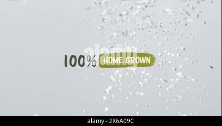 Water droplets splashing against clear background Stock Photo