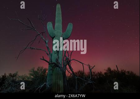 The aurora borealis in the Arizona sonoran desert Stock Photo